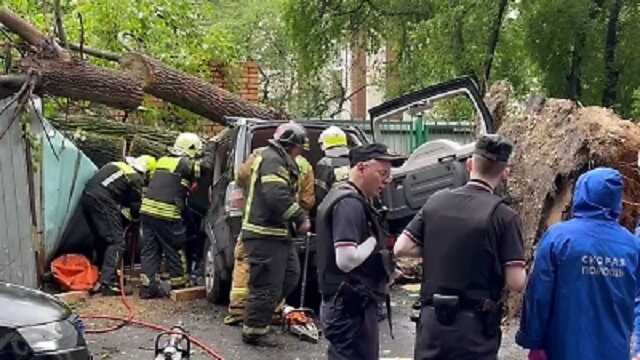 Во время урагана в Москве дерево упало на джип с водителем внутри